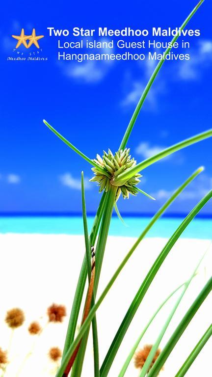 Beach Star Maldives Hangnaameedhoo Exteriör bild
